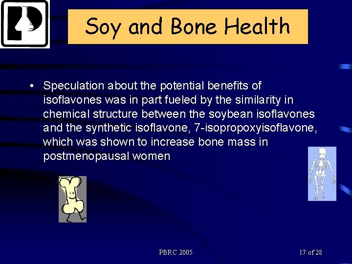 Soy and Bone Health • Speculation about the potential benefits of isoflavones was in