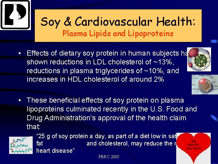 Soy & Cardiovascular Health: Plasma lipids lipoproteins Plasma Lipidsand Lipoproteins • Effects of dietary