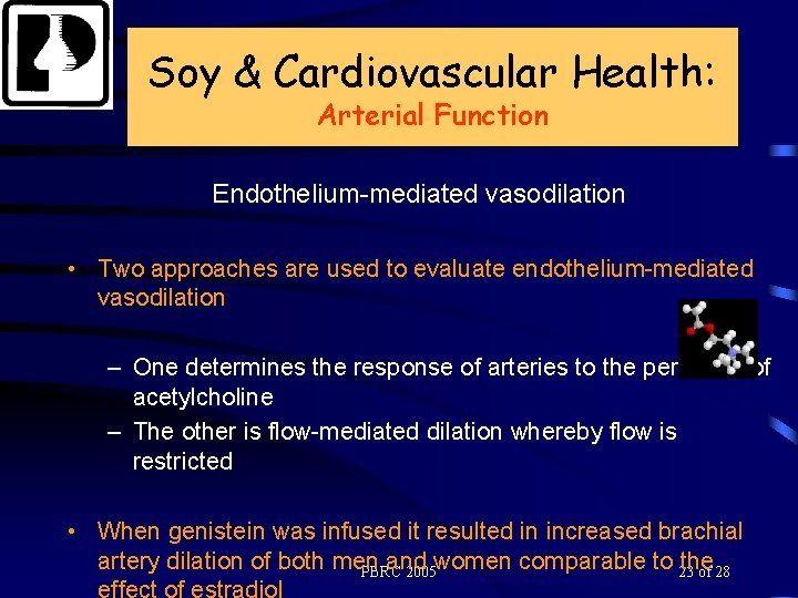 Soy & Cardiovascular Health: Arterial Function Endothelium-mediated vasodilation • Two approaches are used to