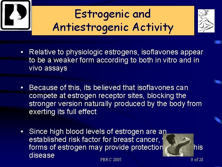 Estrogenic and Antiestrogenic Activity • Relative to physiologic estrogens, isoflavones appear to be a