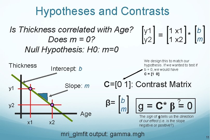 Hypotheses and Contrasts Is Thickness correlated with Age? Does m = 0? Null Hypothesis: