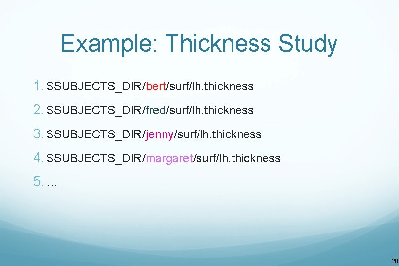 Example: Thickness Study 1. $SUBJECTS_DIR/bert/surf/lh. thickness 2. $SUBJECTS_DIR/fred/surf/lh. thickness 3. $SUBJECTS_DIR/jenny/surf/lh. thickness 4. $SUBJECTS_DIR/margaret/surf/lh.