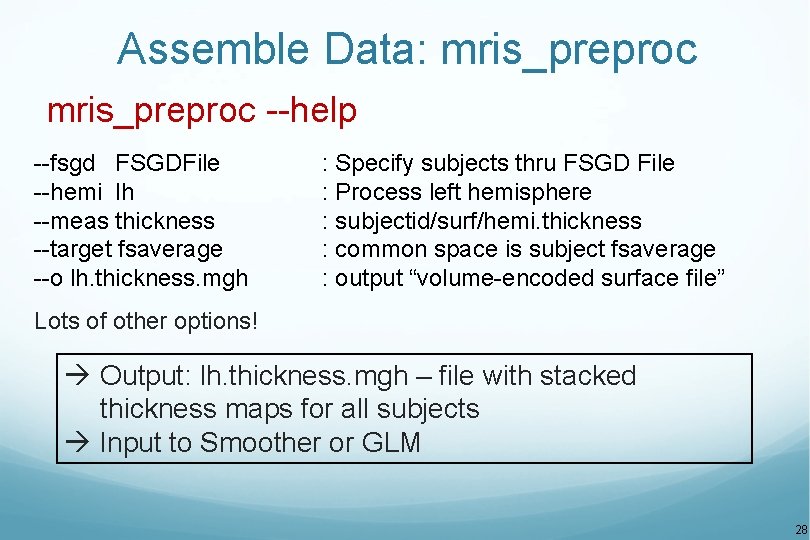 Assemble Data: mris_preproc --help --fsgd FSGDFile --hemi lh --meas thickness --target fsaverage --o lh.