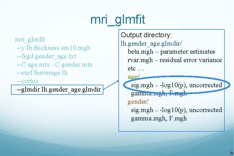 mri_glmfit --y lh. thickness. sm 10. mgh --fsgd gender_age. txt --C age. mtx –C