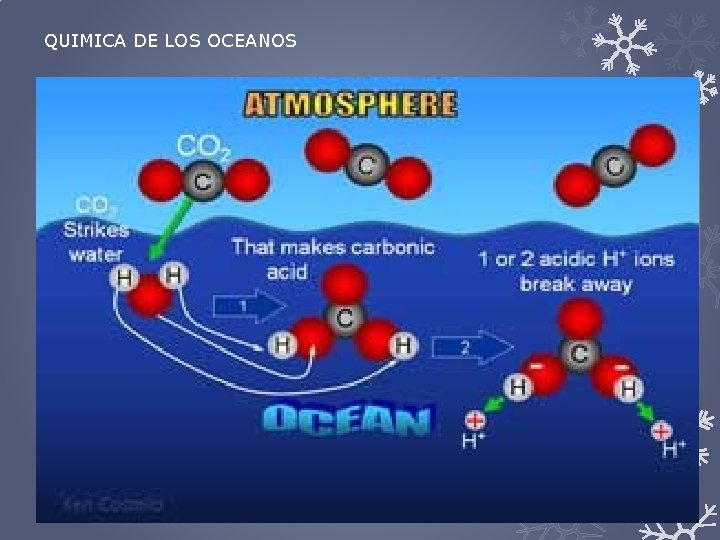 QUIMICA DE LOS OCEANOS El primer componente del mar es el agua, es abundante.