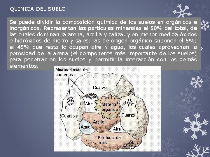 QUIMICA DEL SUELO Se puede dividir la composición química de los suelos en orgánicos