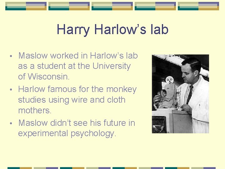 Harry Harlow’s lab Maslow worked in Harlow’s lab as a student at the University