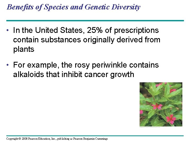Benefits of Species and Genetic Diversity • In the United States, 25% of prescriptions