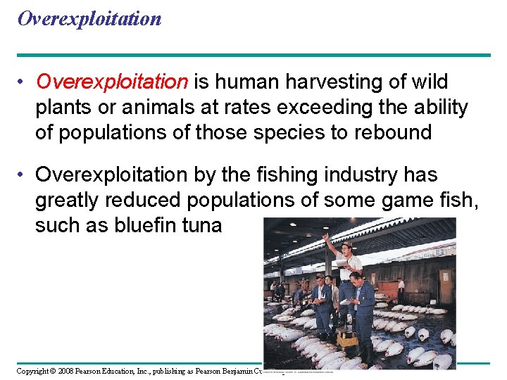 Overexploitation • Overexploitation is human harvesting of wild plants or animals at rates exceeding