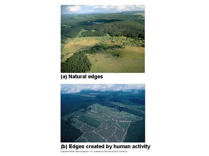 (a) Natural edges (b) Edges created by human activity 