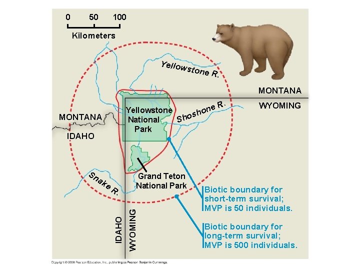 0 50 100 Kilometers Yellow stone R. MONTANA Yellowstone h s National Sho Park