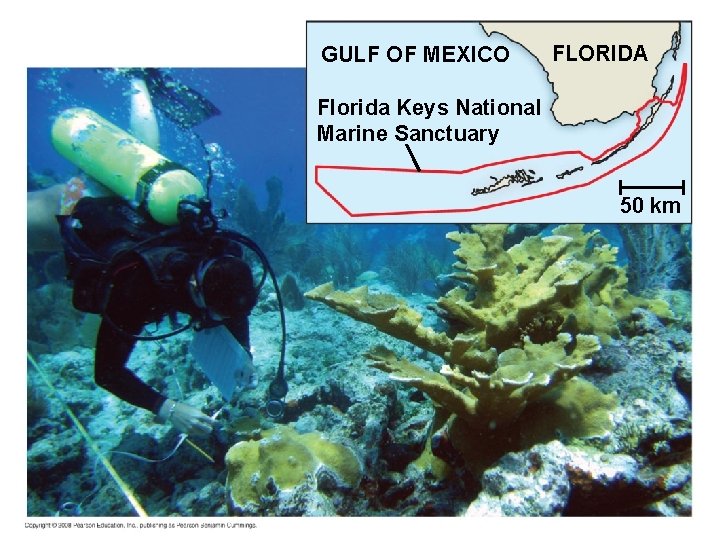 GULF OF MEXICO FLORIDA Florida Keys National Marine Sanctuary 50 km 