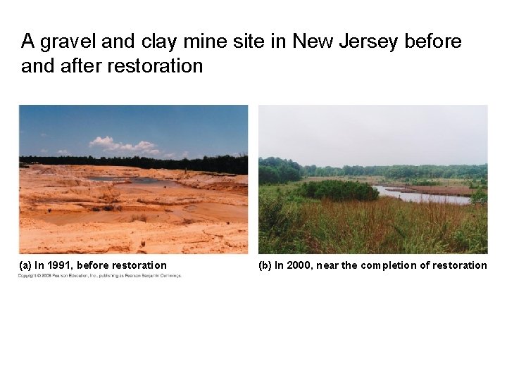 A gravel and clay mine site in New Jersey before and after restoration (a)