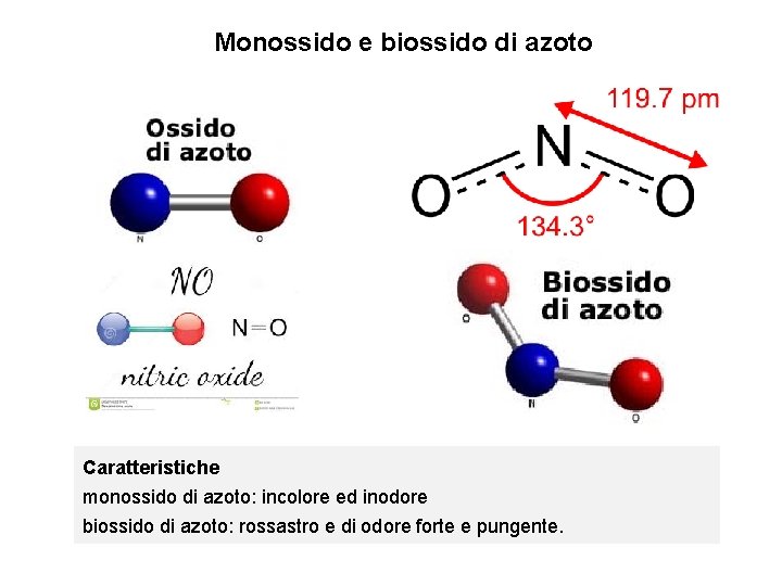 Monossido e biossido di azoto Caratteristiche monossido di azoto: incolore ed inodore biossido di