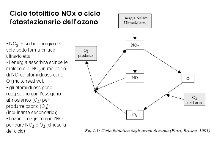 Ciclo fotolitico NOx o ciclo fotostazionario dell’ozono • NO 2 assorbe energia dal sole