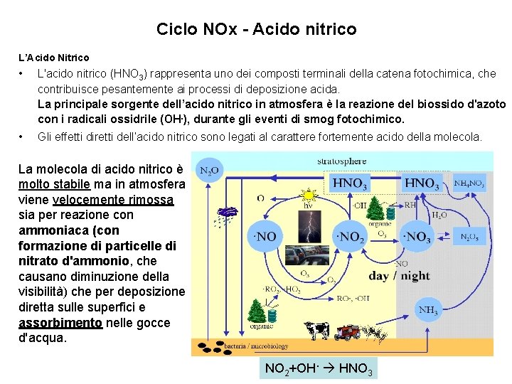 Ciclo NOx - Acido nitrico L’Acido Nitrico • L'acido nitrico (HNO 3) rappresenta uno