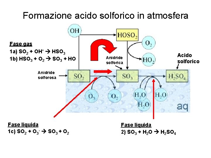 Formazione acido solforico in atmosfera Fase gas. 1 a) SO 2 + OH HSO