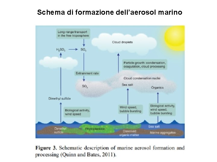 Schema di formazione dell’aerosol marino 