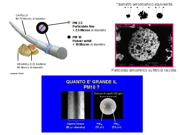 *diametro aerodinamico equivalente CAPELLO 50 -70 Micron di diametro PM 2. 5 Particolato fine