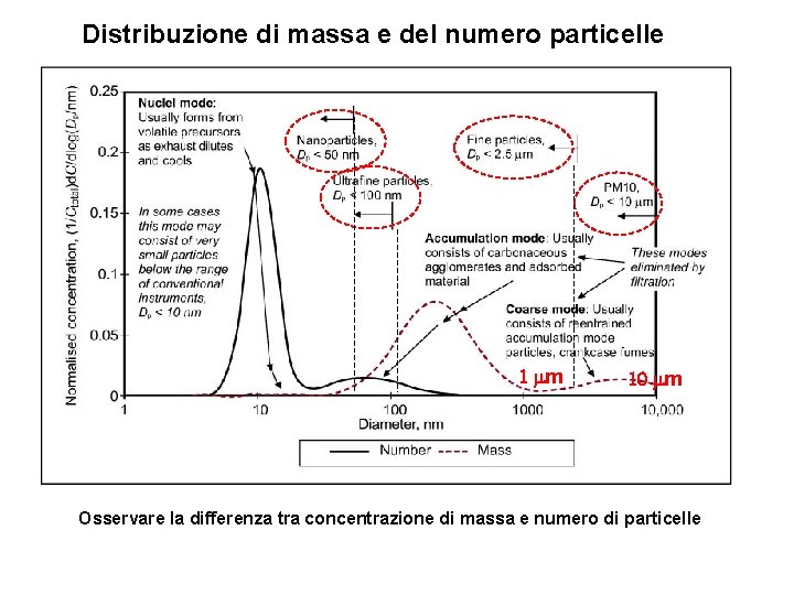 Distribuzione di massa e del numero particelle 1 mm 10 mm Osservare la differenza