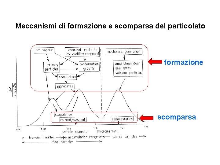 Meccanismi di formazione e scomparsa del particolato formazione scomparsa 