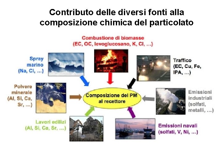 Contributo delle diversi fonti alla composizione chimica del particolato 