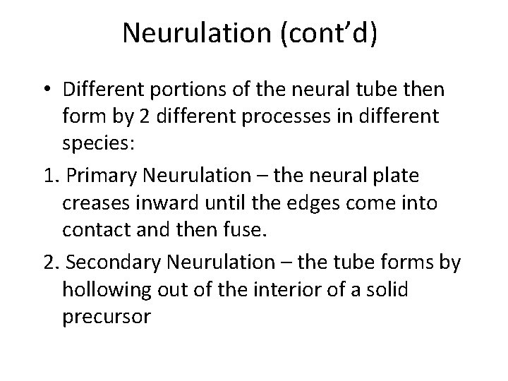 Neurulation (cont’d) • Different portions of the neural tube then form by 2 different