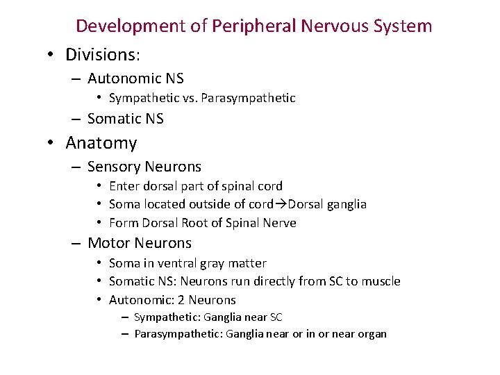 Development of Peripheral Nervous System • Divisions: – Autonomic NS • Sympathetic vs. Parasympathetic