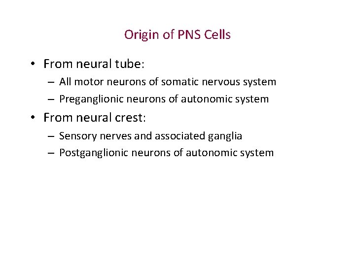 Origin of PNS Cells • From neural tube: – All motor neurons of somatic