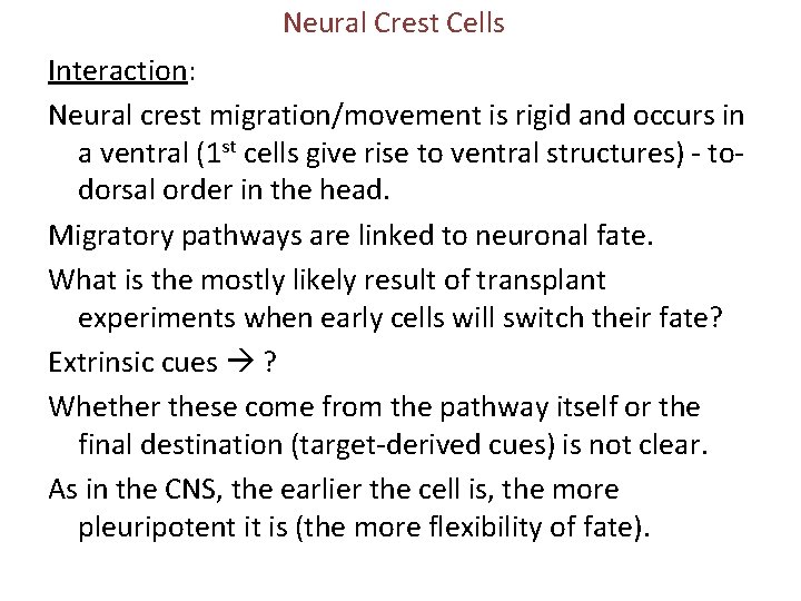 Neural Crest Cells Interaction: Neural crest migration/movement is rigid and occurs in a ventral