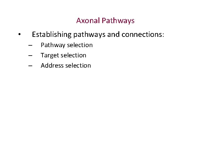 Axonal Pathways • Establishing pathways and connections: – – – Pathway selection Target selection Axonal Pathways • Establishing pathways and connections: – – – Pathway selection Target selection