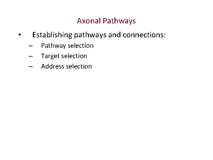 Axonal Pathways • Establishing pathways and connections: – – – Pathway selection Target selection