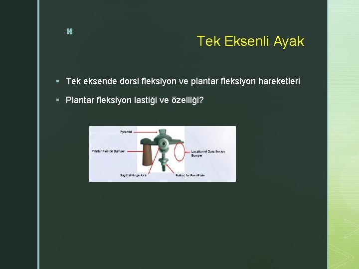 z Tek Eksenli Ayak § Tek eksende dorsi fleksiyon ve plantar fleksiyon hareketleri §