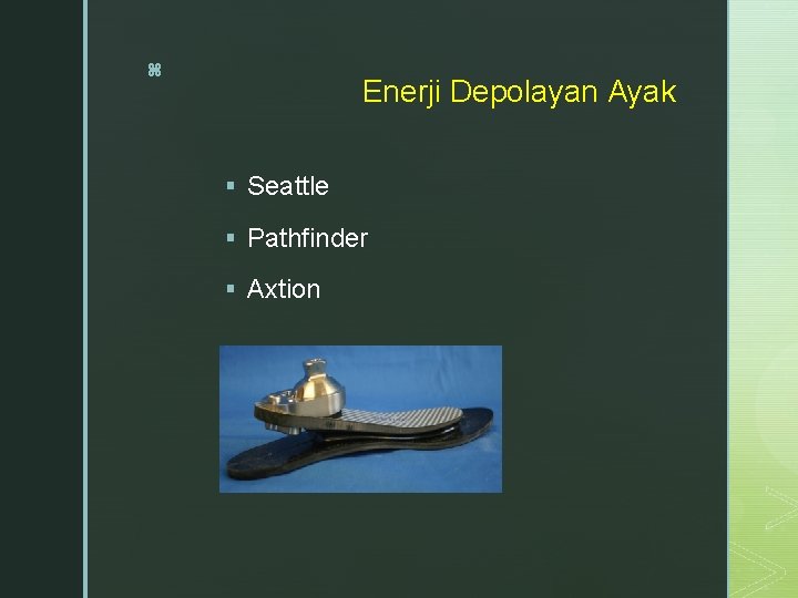 z Enerji Depolayan Ayak § Seattle § Pathfinder § Axtion 
