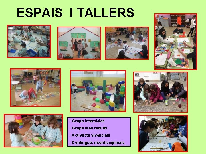 ESPAIS I TALLERS • Grups intercicles • Grups més reduïts • Activitats vivencials •