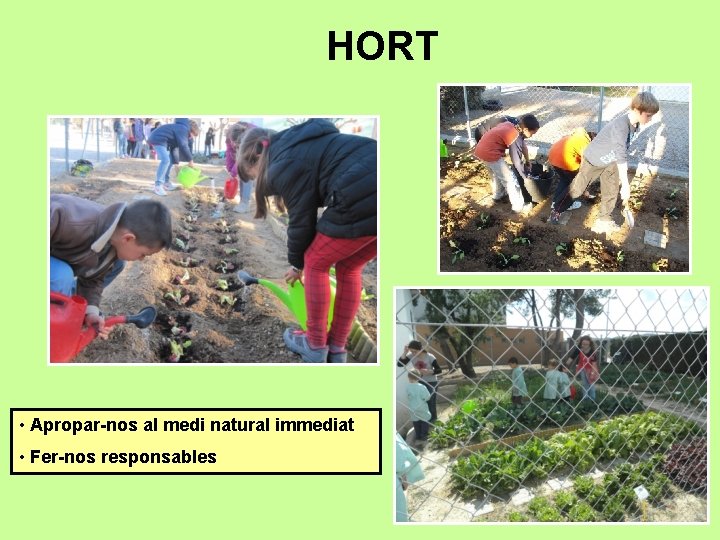 HORT • Apropar-nos al medi natural immediat • Fer-nos responsables 