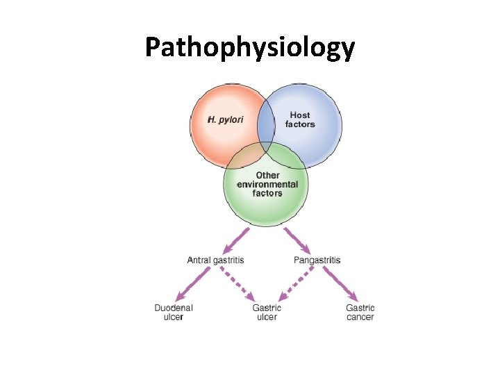 Pathophysiology 