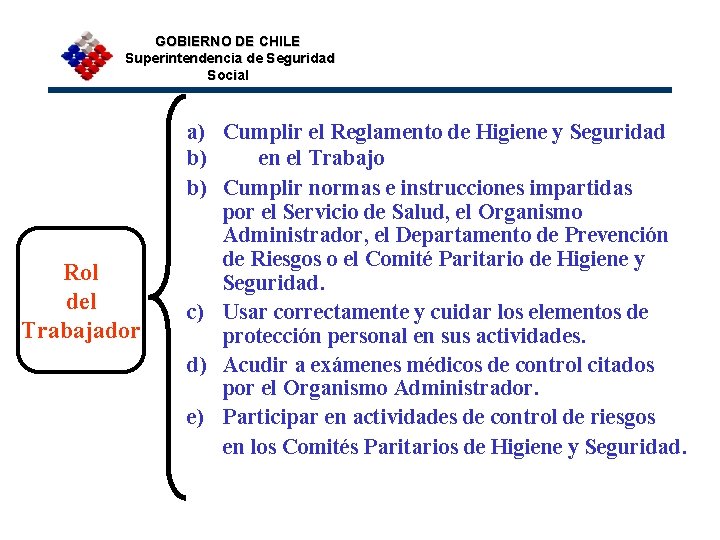 GOBIERNO DE CHILE Superintendencia de Seguridad Social Rol del Trabajador a) Cumplir el Reglamento