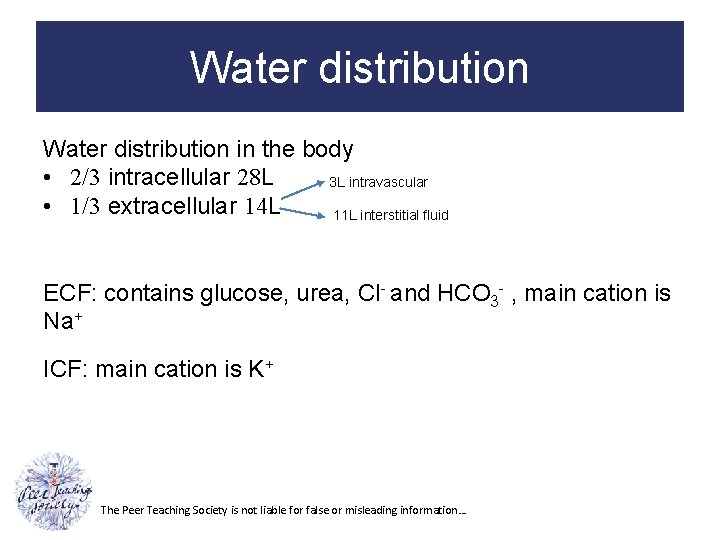 Water distribution in the body • 2/3 intracellular 28 L 3 L intravascular •