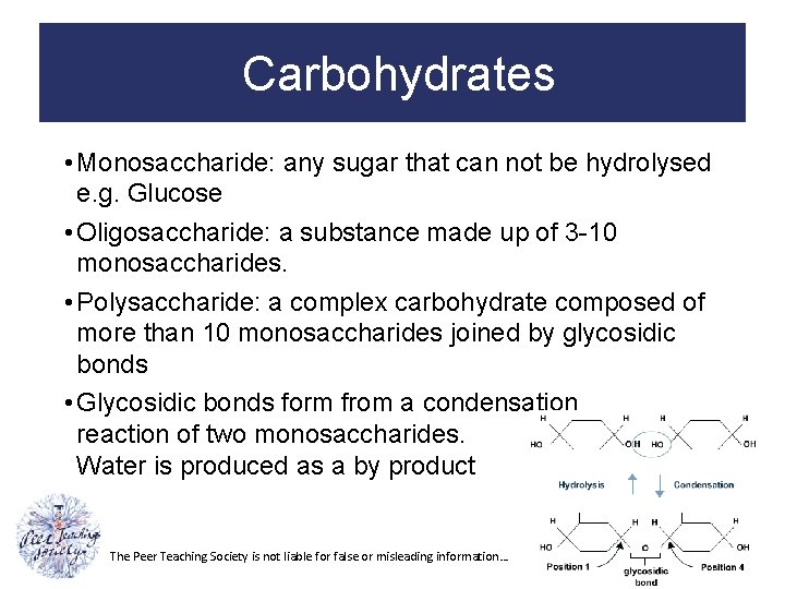 Carbohydrates • Monosaccharide: any sugar that can not be hydrolysed e. g. Glucose •