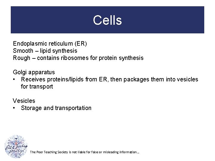 Cells Endoplasmic reticulum (ER) Smooth – lipid synthesis Rough – contains ribosomes for protein