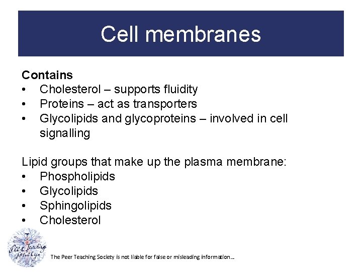 Cell membranes Contains • Cholesterol – supports fluidity • Proteins – act as transporters