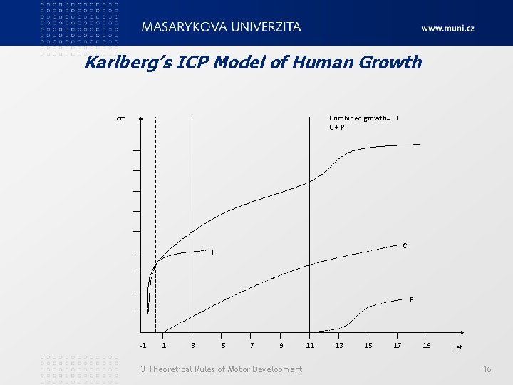 Karlberg’s ICP Model of Human Growth cm Combined growth= I + C+P C I
