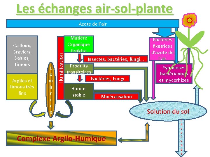 Les échanges air-sol-plante Cailloux, Graviers, Sables, Limons Argiles et limons très fins L o