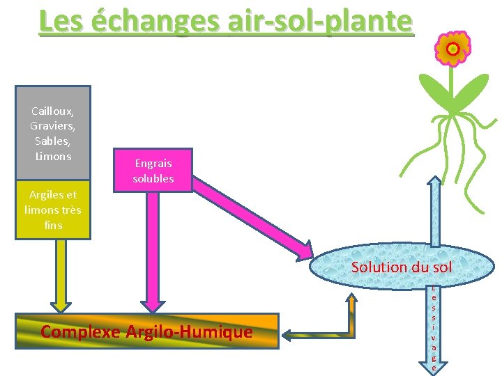 Les échanges air-sol-plante Cailloux, Graviers, Sables, Limons Engrais solubles Argiles et limons très fins