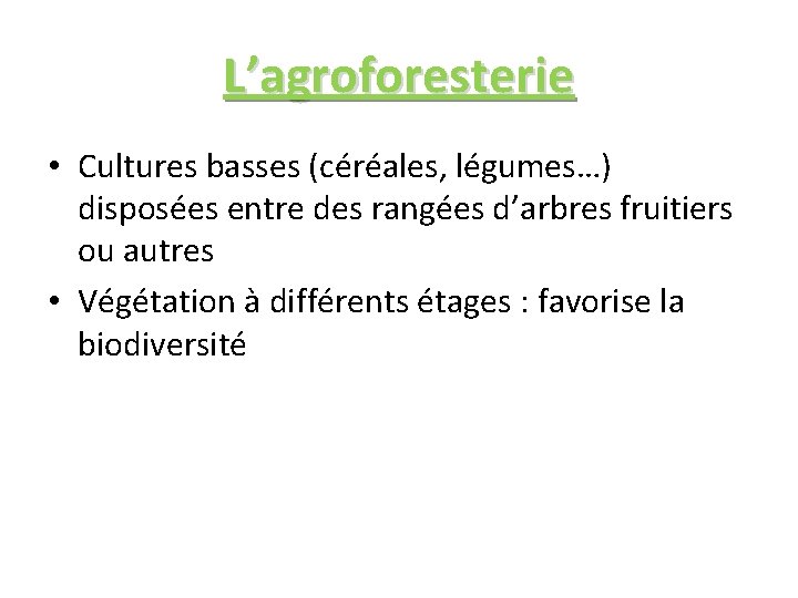 L’agroforesterie • Cultures basses (céréales, légumes…) disposées entre des rangées d’arbres fruitiers ou autres