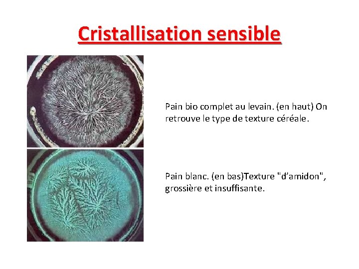 Cristallisation sensible » Pain bio complet au levain. (en haut) On retrouve le type