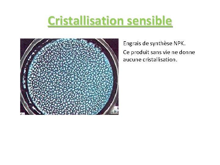 Cristallisation sensible » » a Engrais de synthèse NPK. Ce produit sans vie ne