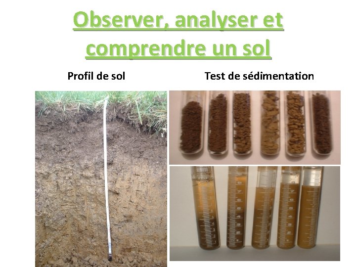 Observer, analyser et comprendre un sol Profil de sol Test de sédimentation 