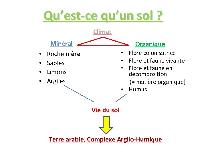 Qu’est-ce qu’un sol ? Climat Minéral • • Organique • Flore colonisatrice • Flore